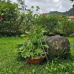 Casa Da Cruz * Porto Da Cruz
