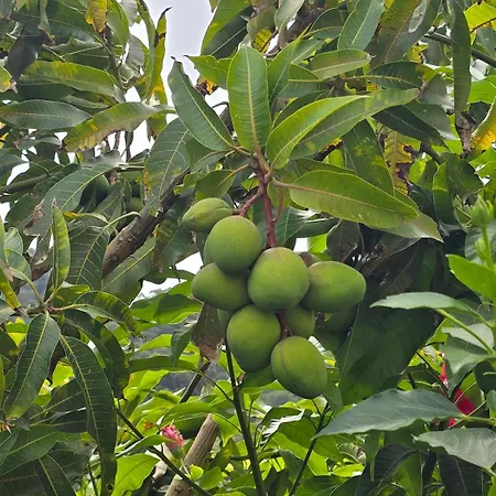 Casa Da Cruz Porto Da Cruz