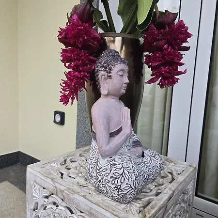 Appartement Casa Da Cruz