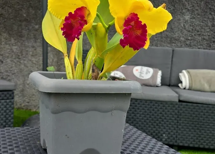 Casa Da Cruz Daire *