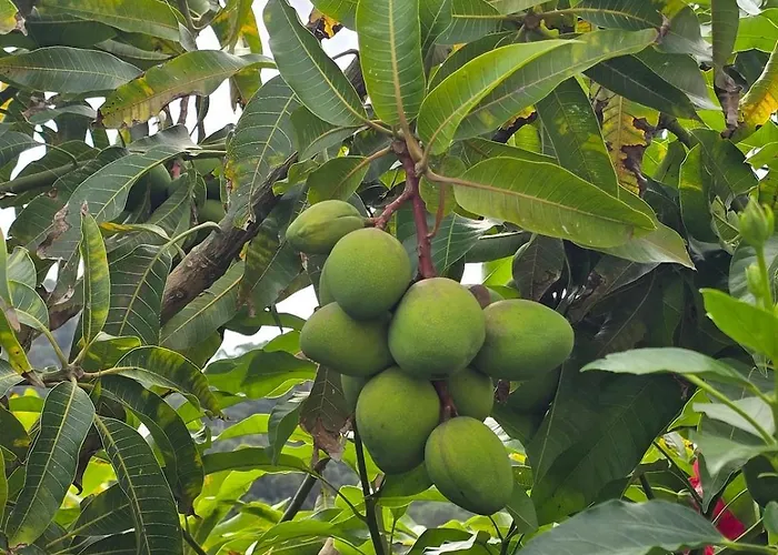 Casa Da Cruz Porto Da Cruz