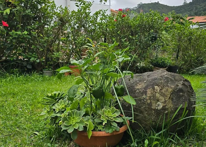 Casa Da Cruz * Porto Da Cruz